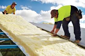 Reliable Fort Davis, TX Insulation Installation & Removal Solutions